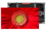 Indoor LED Display